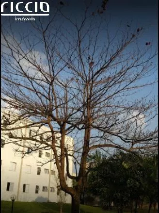 Empreendimento à venda em Jardim Califórnia Jacareí